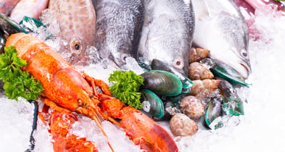 Understanding TCA Rules of Origin for Processed Seafood Imports