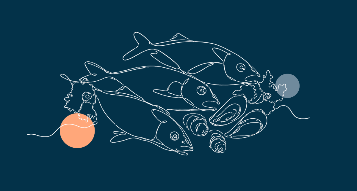 Understanding TCA Rules of Origin for Processed Seafood Imports